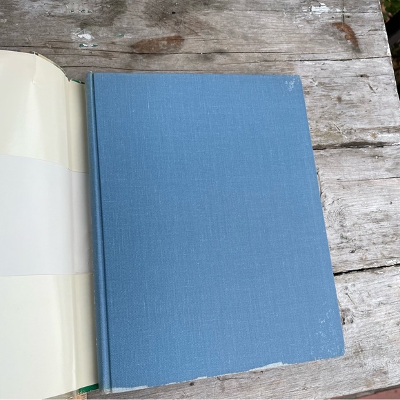 Degas in the Art Institute of Chicago Richard Bettell Artist coffee table Book - Picture 2 of 9